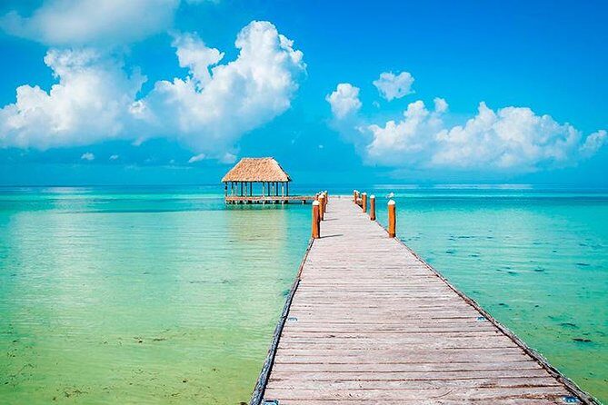 Living Dream, Holbox Tour! Round Transportation from Cancun - An In-Depth Look at the Tour Highlights