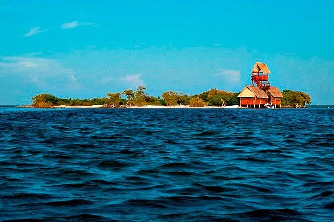 Living Dream, Holbox Tour! Round Transportation from Cancun - FAQ