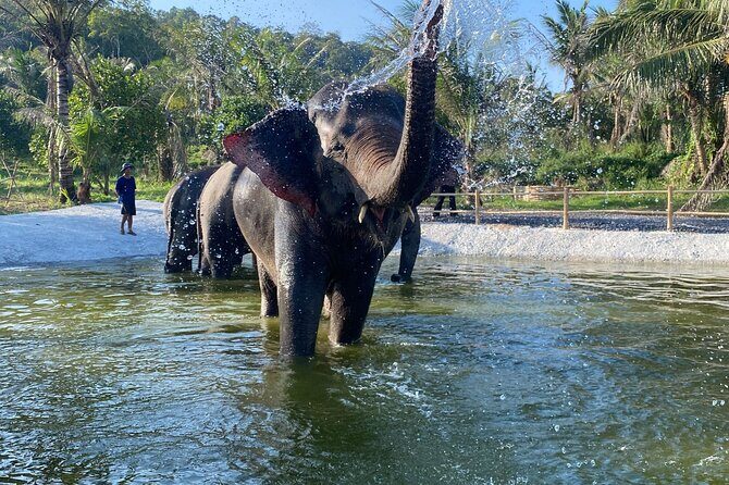 Living Green Elephant Sanctuary Experience near Bangkok & Pattaya - Good To Know