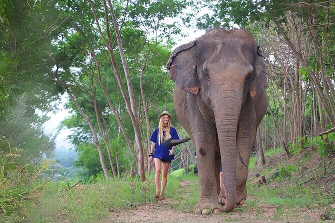 Living Green Elephant Sanctuary Tour from Bangkok and Pattaya - Introduction