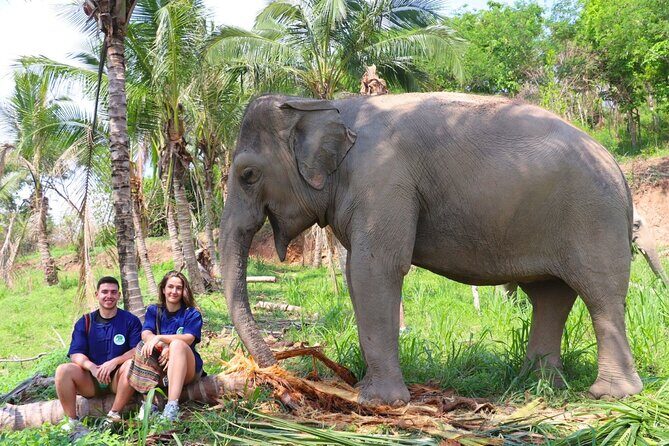 Living Green Elephant Sanctuary Tour from Bangkok and Pattaya - Good To Know
