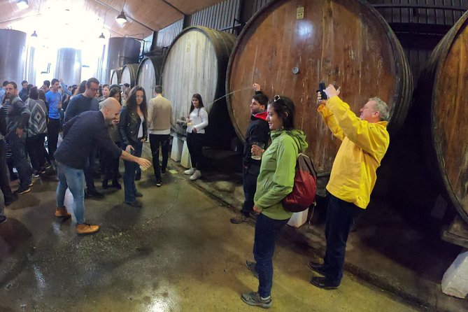 Living in the Cider House, the Tradition of Txotx. - The Cider House Experience