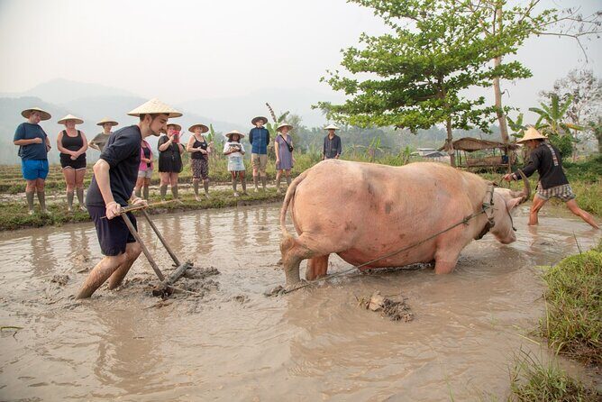 Living Land Experience and Kuang Si water with Lunch - Good To Know