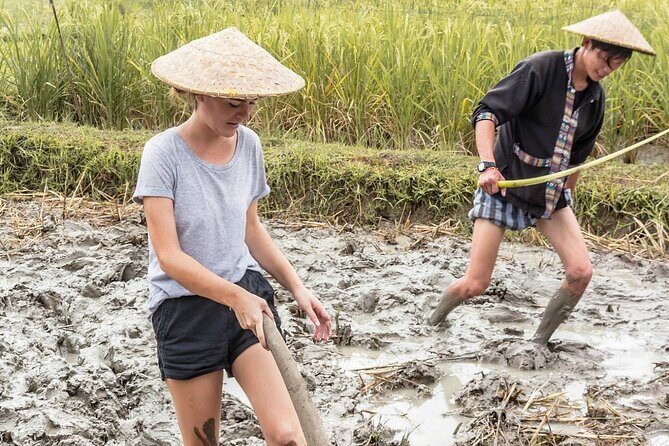 Living Land Experience and Kuang Si water with Lunch - FAQs