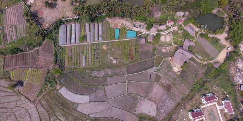 Living Land Farm Rice Experience - An In-Depth Look at the Living Land Farm Rice Experience