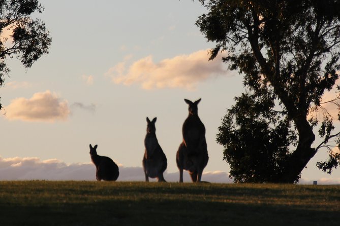 Living Legends Champion Racehorse Guided Tour - Overview and Location