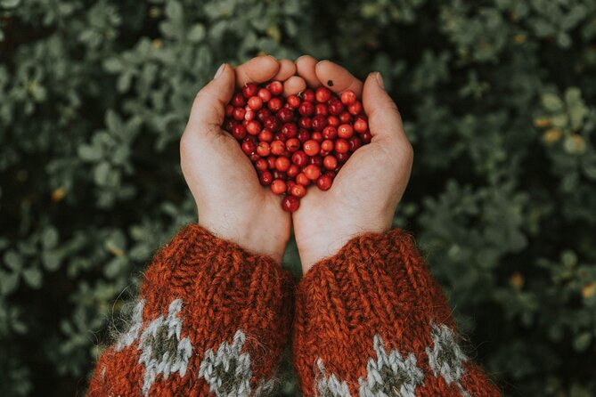 Living off the Land, Foraging Tour in Rovaniemi - Tour Overview