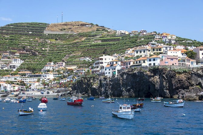 Living Sea Boat Trip in Madeira - Trip Details