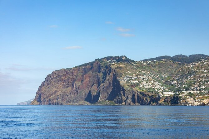 Living Sea Boat Trip in Madeira - Additional Information
