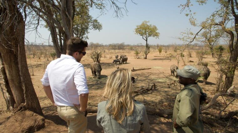 Livingstone: Game Drive and White Rhino Walking Safari - Who Will Love This Tour?