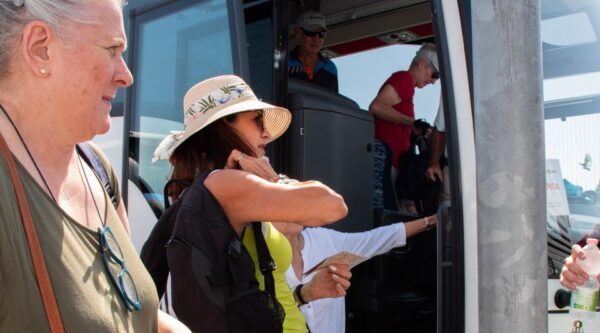 Livorno: Shore Excursion to Pisa and Livorno Bus Tour - Contact Provider