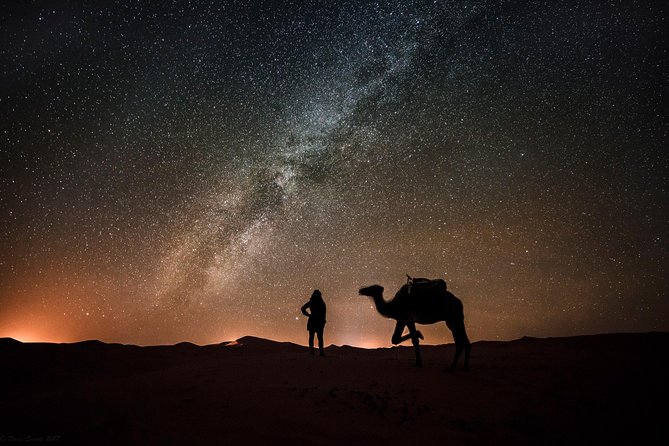 Liwa Over Night Camping - the Empty Quarter Dunes (Tel Moreeb) With Meals - Activities and Excursions