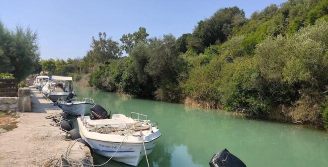 Lixouri : Full Day Private Tour & Wine Tasting - Highlights of the Tour