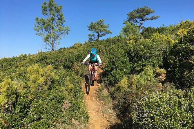 Lizandro Trails - Mountain Biking - Trail Highlights