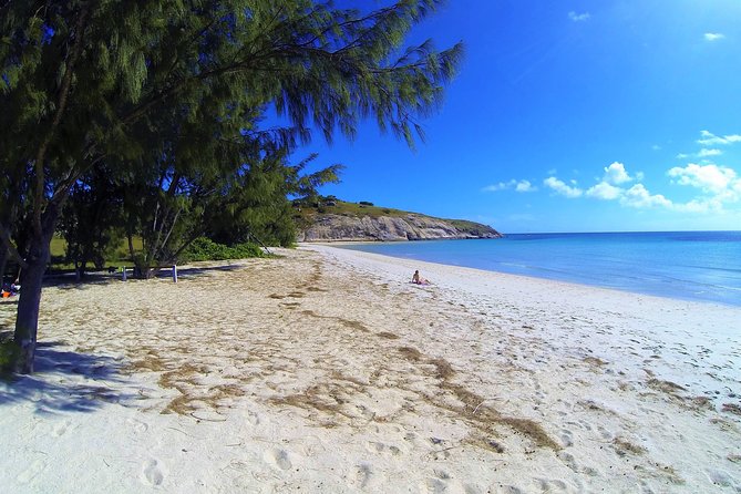 Lizard Island Day Tour by Air From Cairns - Tour Highlights and Activities