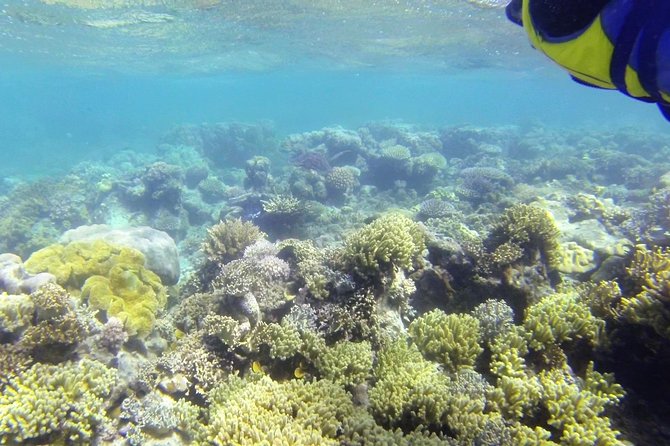 Lizard Island Day Tour by Air From Cairns - Logistics and Details