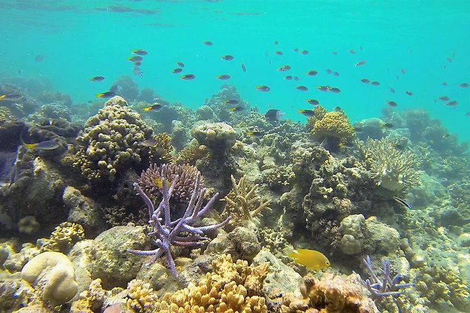 Lizard Island Day Tour by Air From Cairns - End Point