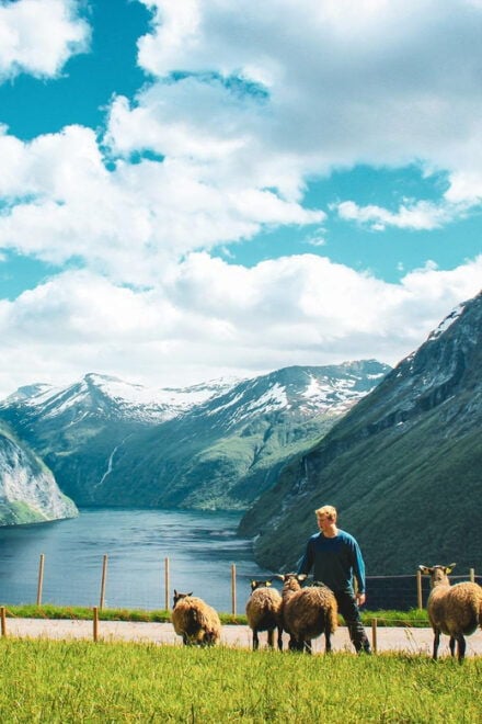 Lj Øen, Hellesylt: Lj Øen Farm Tour - Guided Farm Tour Experience