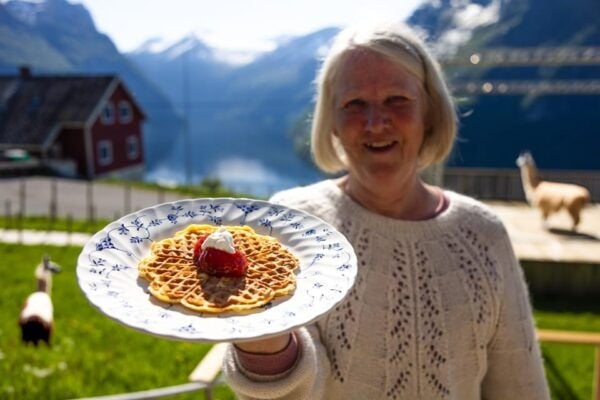 Lj Øen, Hellesylt: Lj Øen Farm Tour - Free Cancellation and Payment