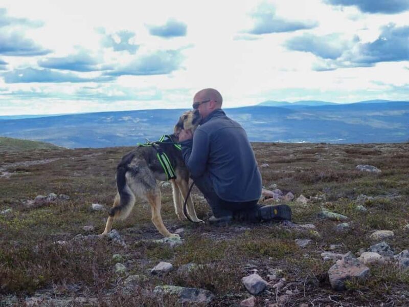 Ljørdalen - Trysil: Husky Hike with Campfire and lunch! - Good To Know