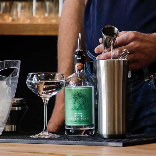 Ljubljana: Broken Bones Gin Experience with Cocktails - Introduction