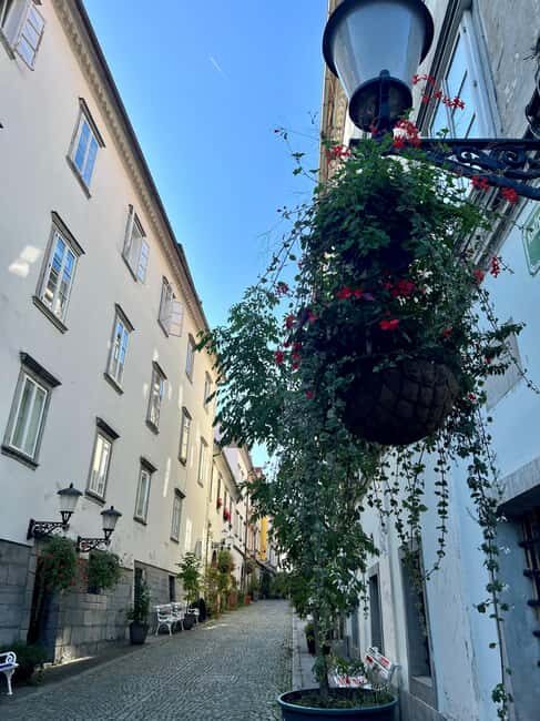 Ljubljana Historic Old Town Private & Family-Friendly Tour - Practical Tips