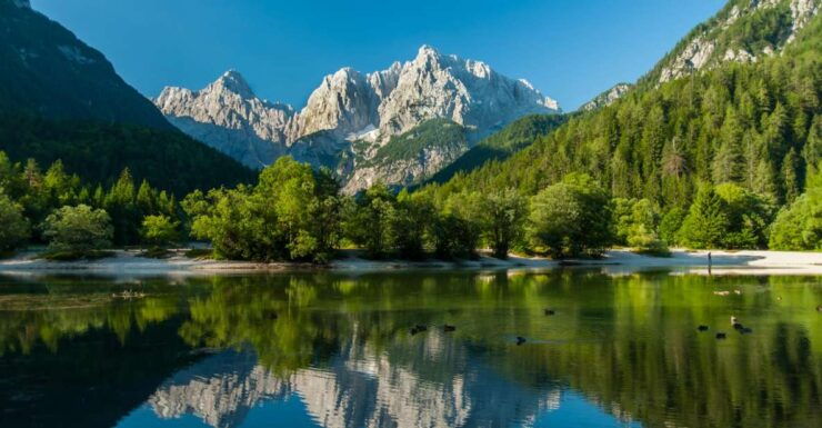 Ljubljana: Kranjska Gora and the Alps - Experience and Activities