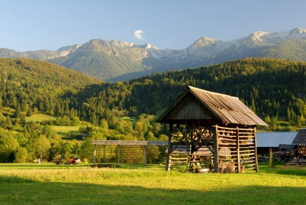 Ljubljana: Lake Bled & Triglav National Park Full-Day Trip - Discover Vintgar Gorge and Savica Waterfall