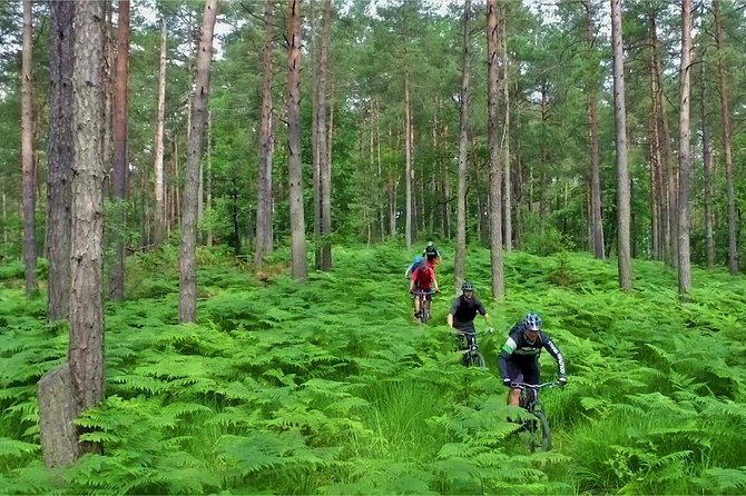 Ljubljana MTB Capital - Reviews