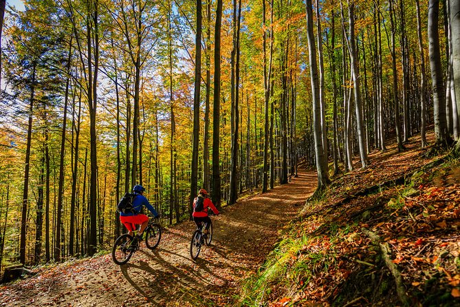 Ljubljana MTB Trail - Trail Location