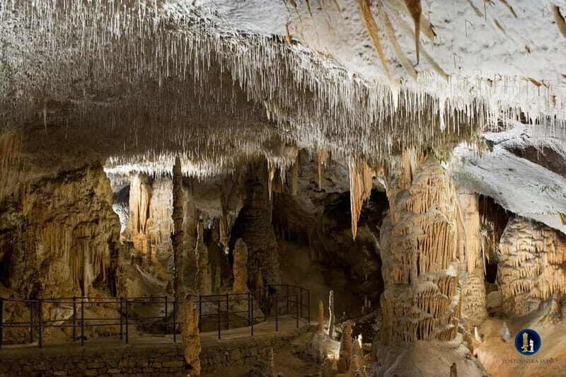 Ljubljana: Postojna Cave and Predjama Castle Tour - Good To Know