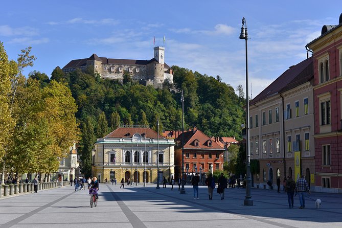 Ljubljana & Postojna Cave From Bled - Tour Highlights