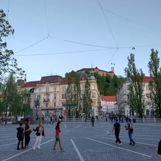 Ljubljana: Private Guided City Tour - What Reviewers Say