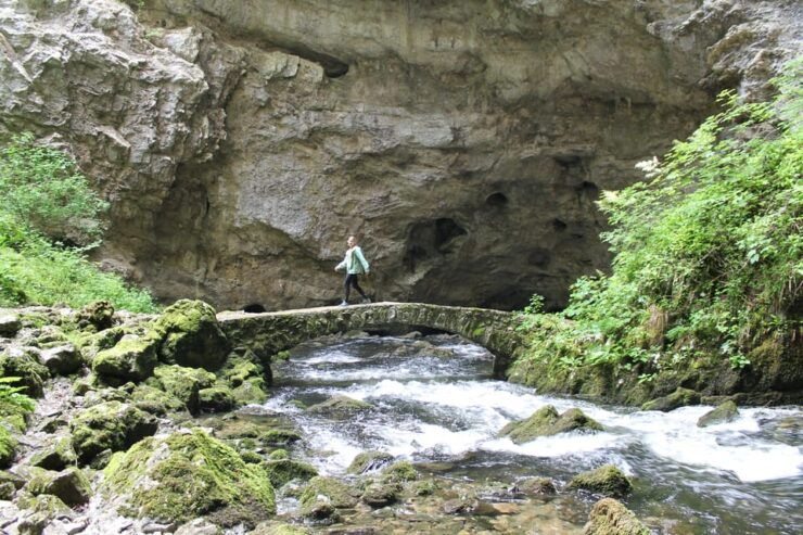Ljubljana: Škocjan Caves, Rakov Škocjan & Marshes Tour - Itinerary Highlights