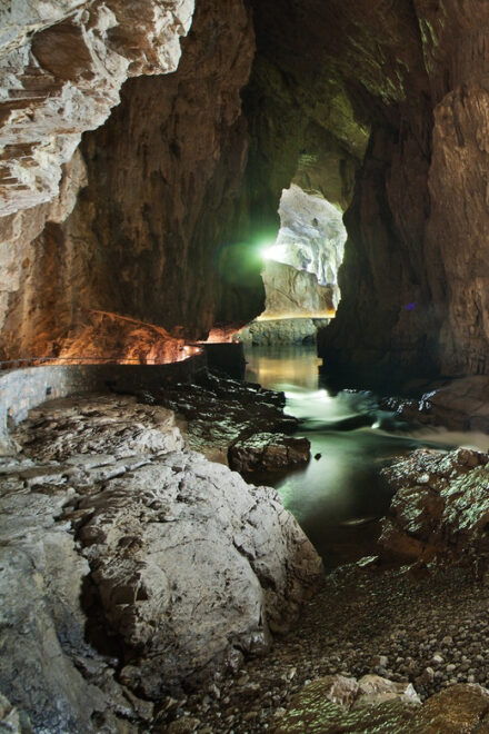 Ljubljana: Škocjan Caves, Rakov Škocjan & Marshes Tour - Rakov Škocjan Regional Park