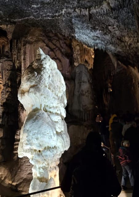 Ljubljana to Postojna Cave,Predjama Castle and Postojna Park - Itinerary Highlights