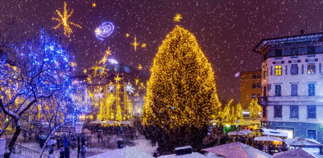Ljubljana: Tour of the Festive Decorations - Booking Information