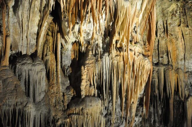 Ljubljana: UNESCO-Listed Škocjan Caves and Piran Day Trip - Customer Reviews and Ratings
