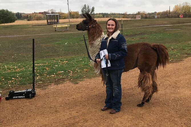 Llama Encounter - What to Expect on the Llama Encounter Tour 