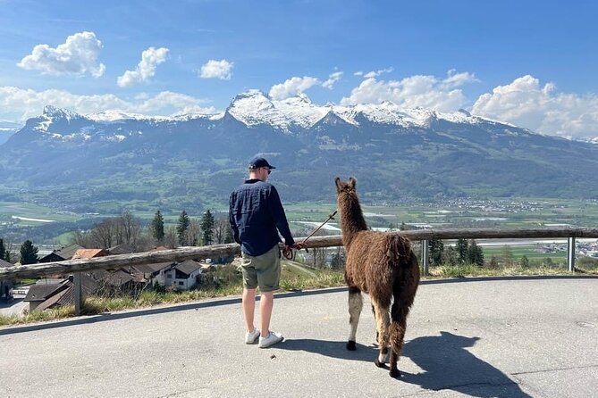 Llama Hike Through the Wonderful Liechtenstein Mountains - Detailed Activity Itinerary