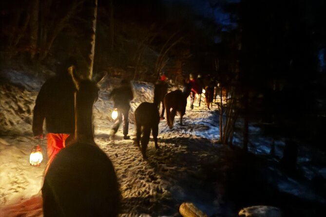 Llama Hike With Homemade, Traditional Cheese Fondue - Location and Meeting Point