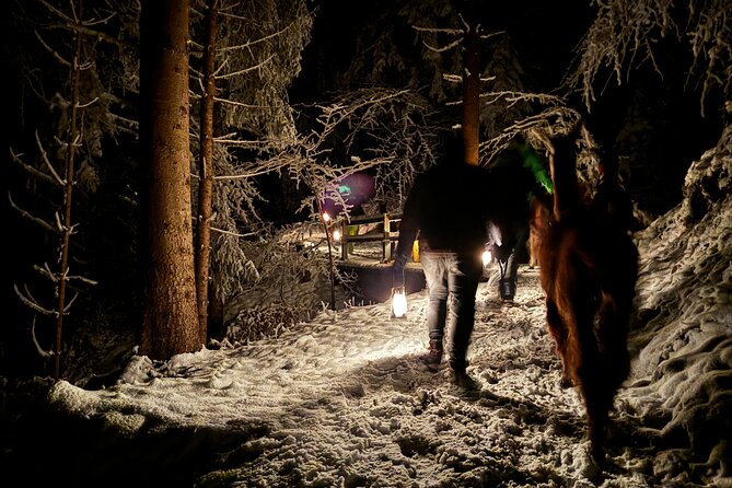 Llama Hike With Homemade, Traditional Cheese Fondue - The Sum Up
