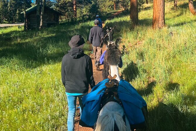 Llama to Lunch in the Rocky Mountains - Discovering Llama to Lunch in the Rocky Mountains: A Practical and Fun Mountain Adventure