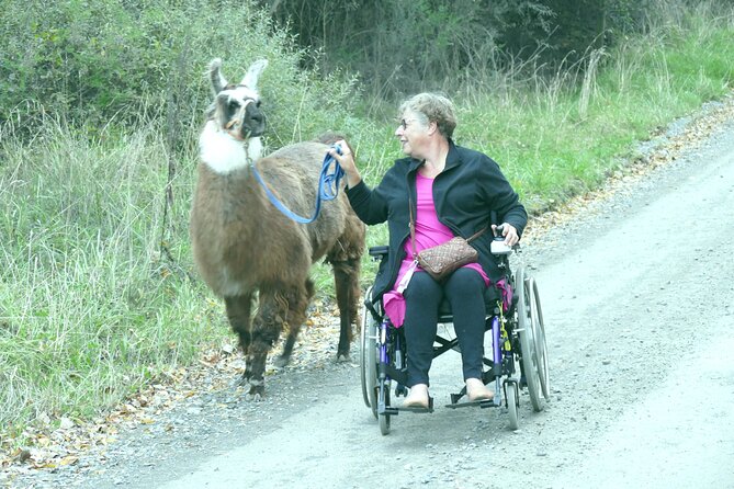 Llama Trek (Taster) - Kowhai River Valley and Native Woodland Tour - Inclusions and Itinerary