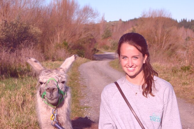 Llama Trek (Taster) - Kowhai River Valley and Native Woodland Tour - Meeting and Pickup Information