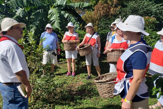 Llanos Del Cortez Waterfall and Coffee Tour From Guanacaste - Good To Know