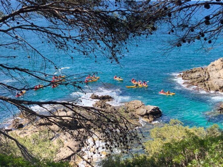 Lloret De Mar: 3-Hour Kayak and Snorkel Tour on Costa Brava - What to Bring and Prepare