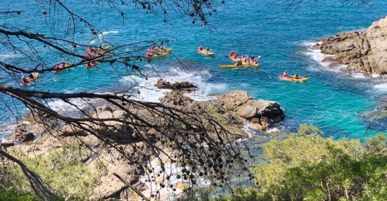 Lloret De Mar: 3-Hour Kayak and Snorkel Tour on Costa Brava - Customer Reviews and Feedback