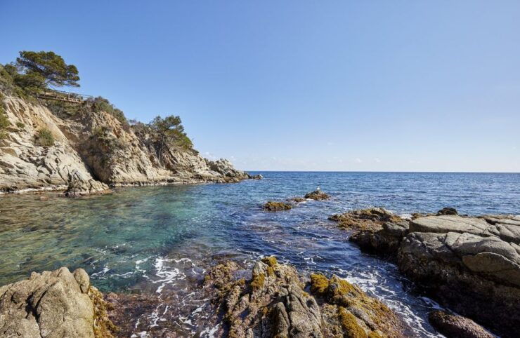 Lloret De Mar: Costa Brava Kayak Tour and Swimming - Good To Know
