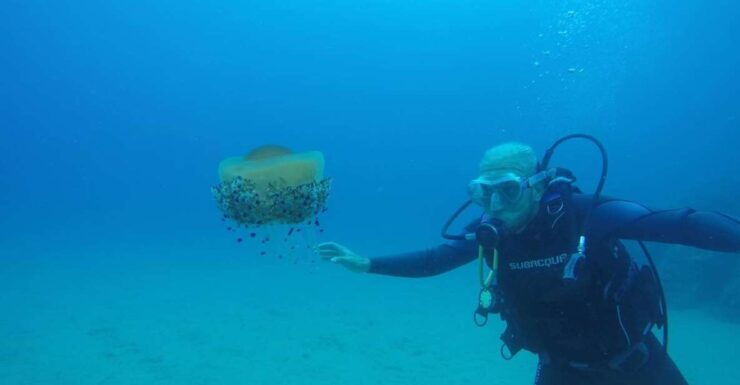 Lloret De Mar: Scuba Diving Experience No License Required - Benefits of Scuba Diving Without License
